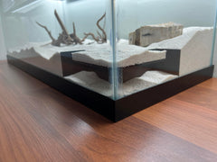LifeWithPets tunel esquina acuario 8-25, mayor visibilidad para observar comportamiento de peces.