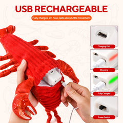 LIFLIX Flappy Lobster: bolsillo para catnip para atraer juego