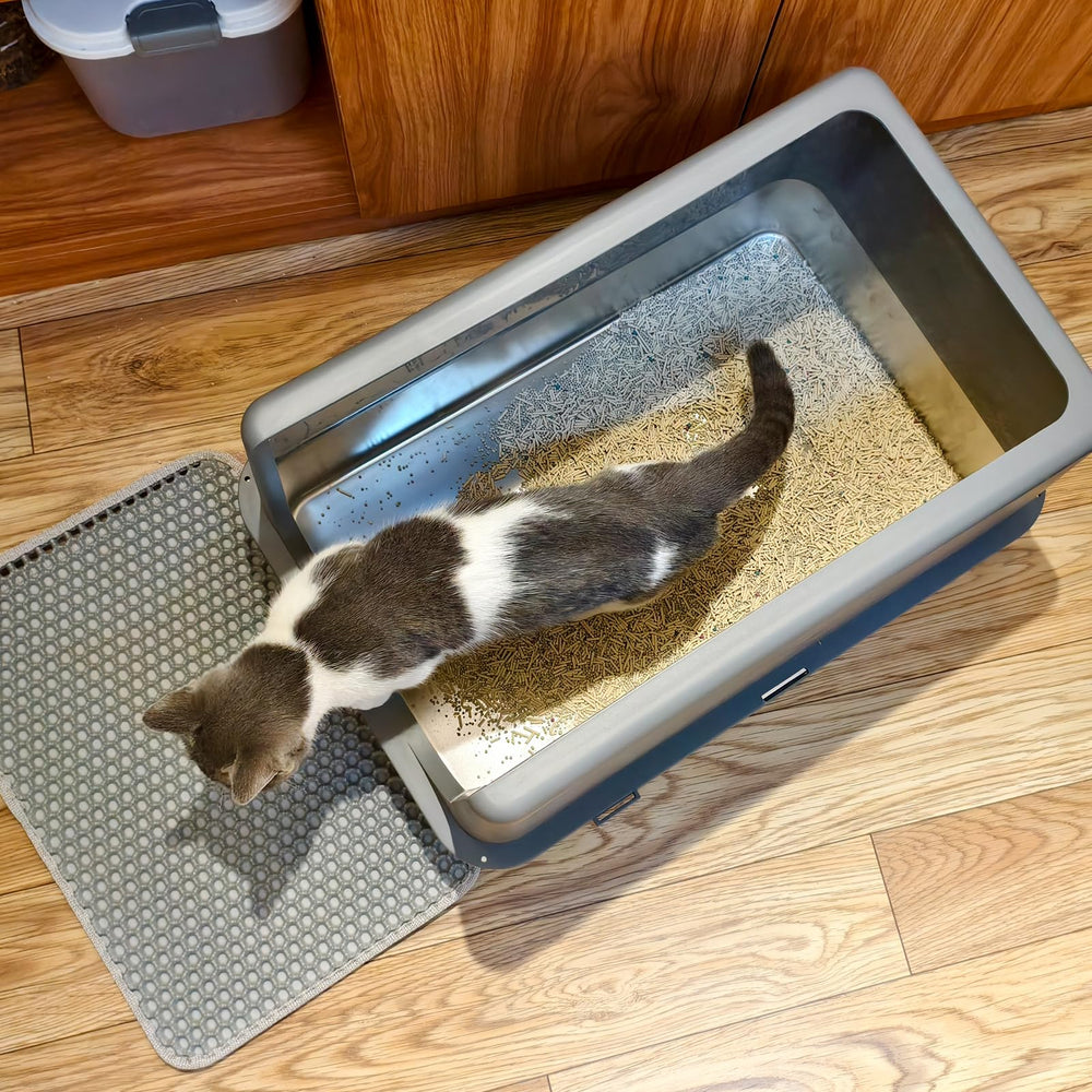 LIHONG, caja de arena para dos gatos grandes, diseño estable