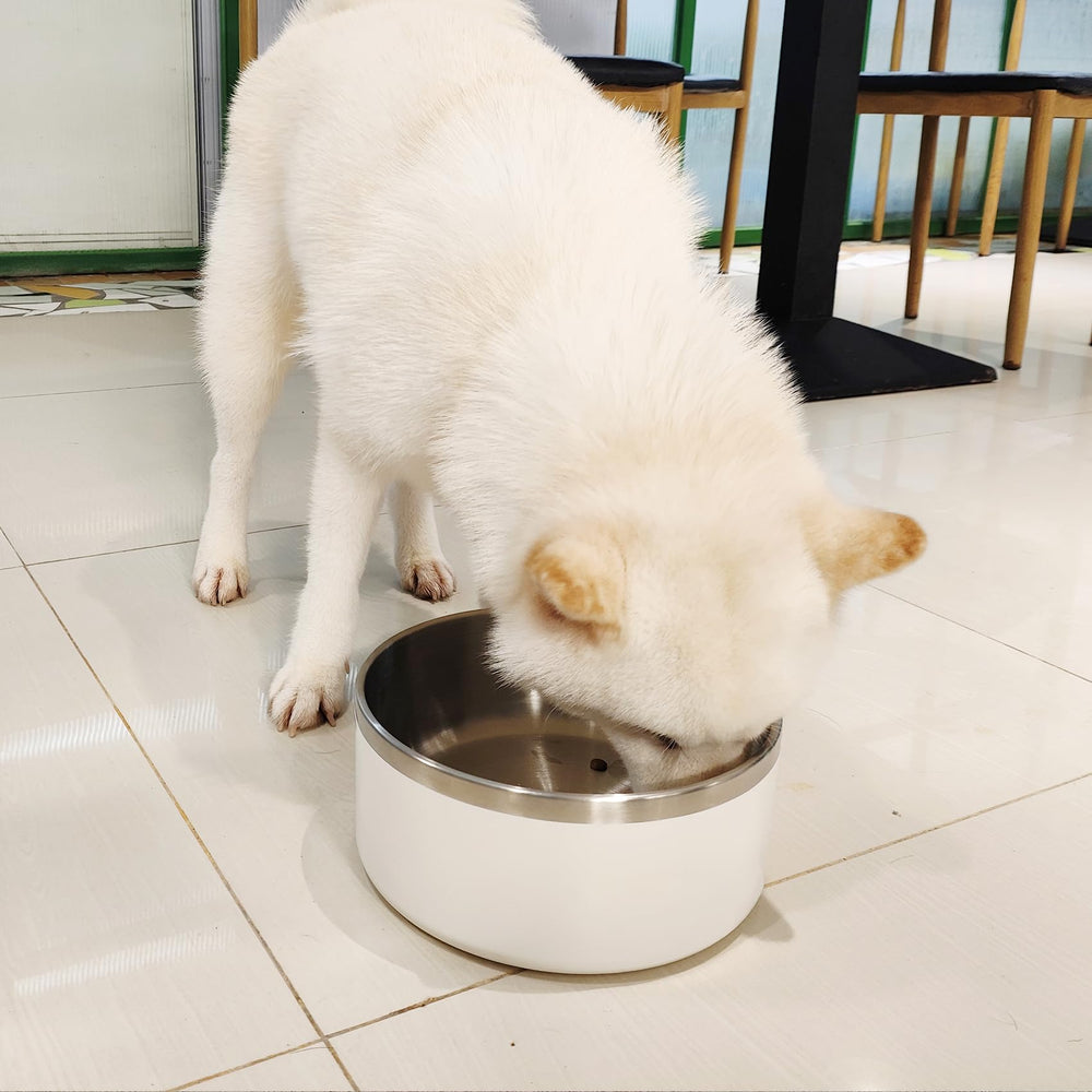 LIHOOOOM tazón aislado mantiene el agua fría por más tiempo para tu mascota.