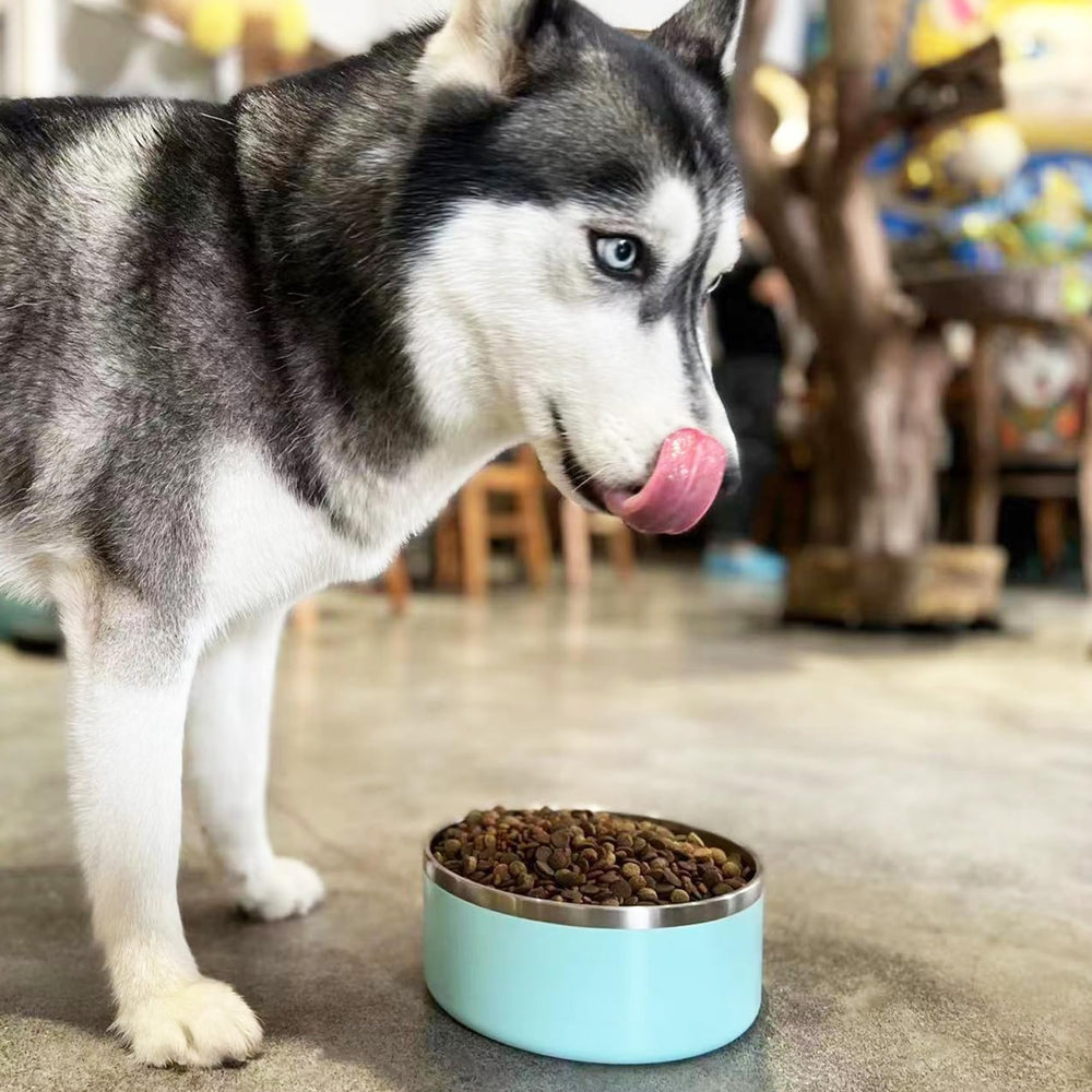 LIHOOOOM cuenco-alimento-perro, acero inoxidable, apto para comida diaria.