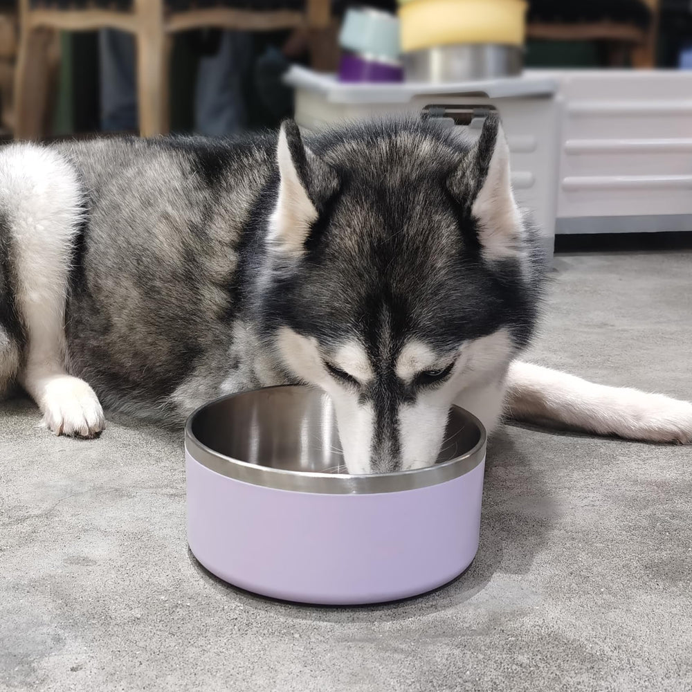 LIHOOOOM tazón disponible en dos tamaños, apto para gatos y perros.