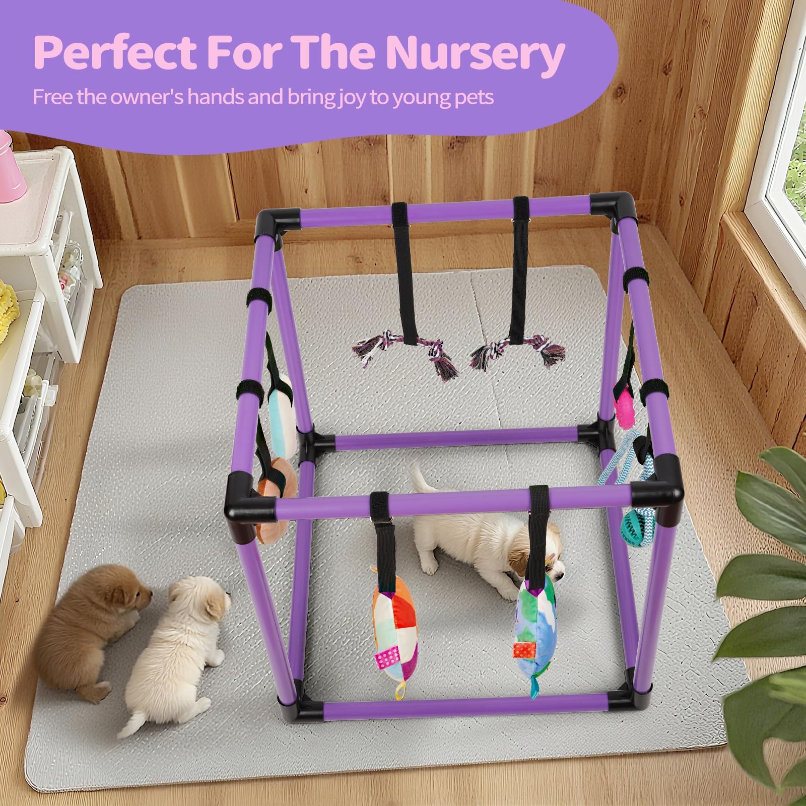 Liitrton Puppy Play Gym, espacio interior compacto para juegos diarios de cachorros.
