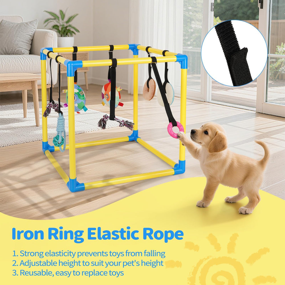 Liitrton Puppy Play Gym montaje rapido sin herramientas en casa