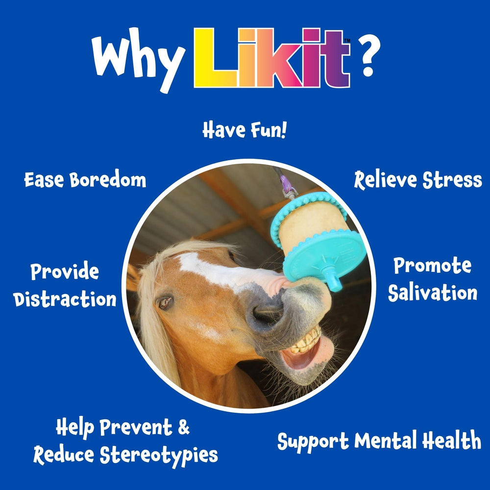 Likit Signature Holder Aqua, kit completo para caballos con likit por separado.