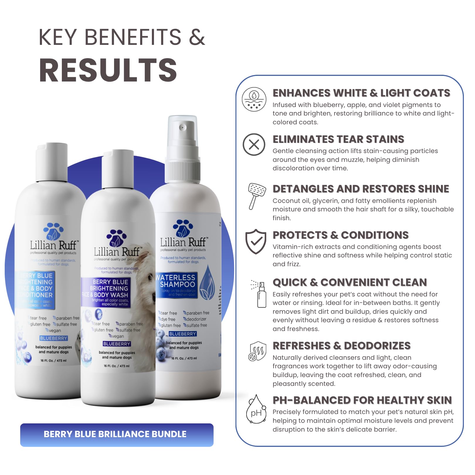 Shampoo sin agua Berry Blue para uso entre baños, aroma a arándano.