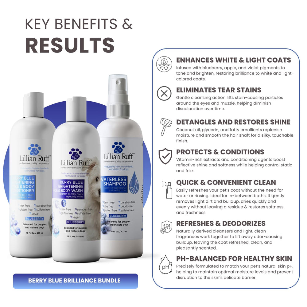 Shampoo sin agua Berry Blue para uso entre baños, aroma a arándano.