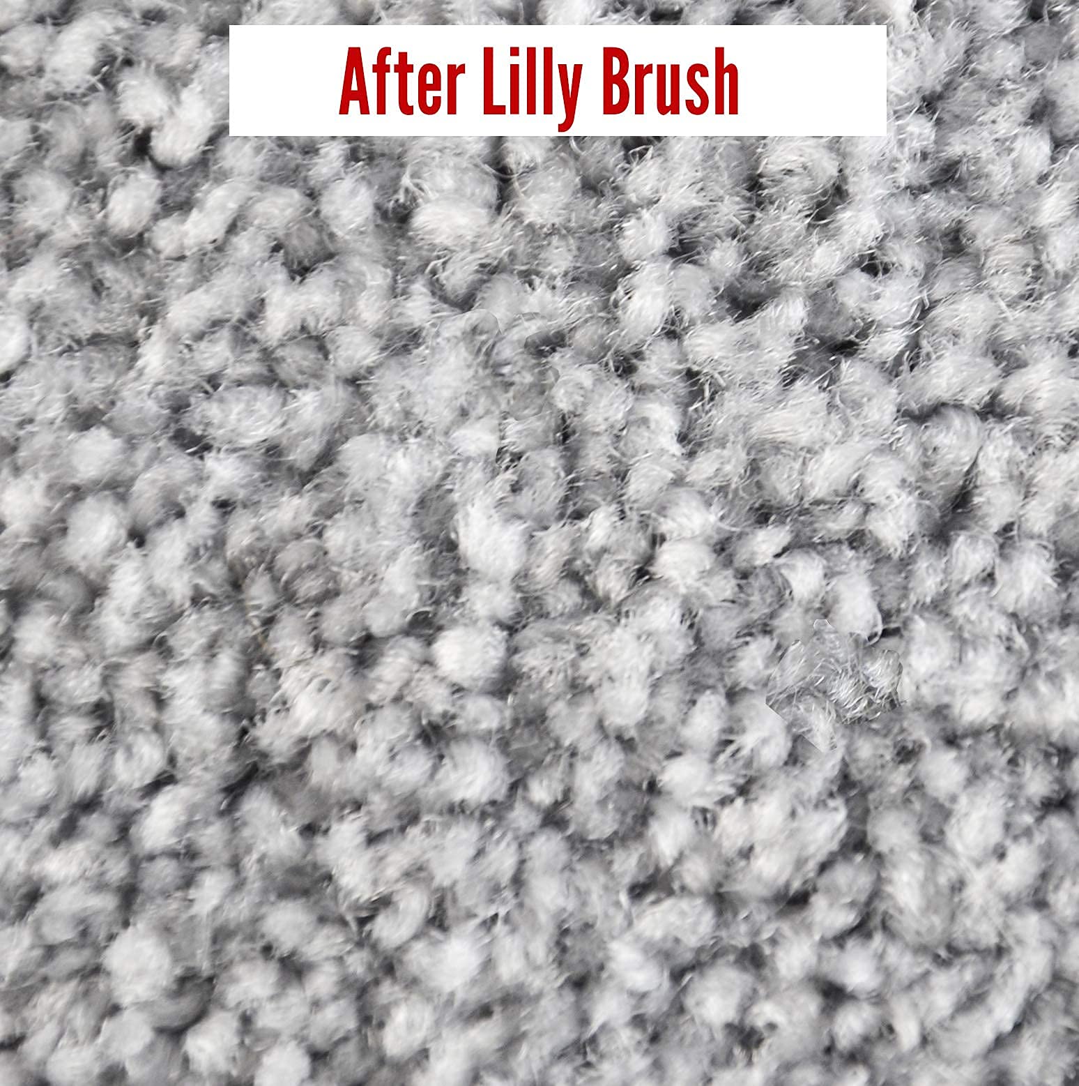 Se adapta a varillas de escoba con Lilly Brush.