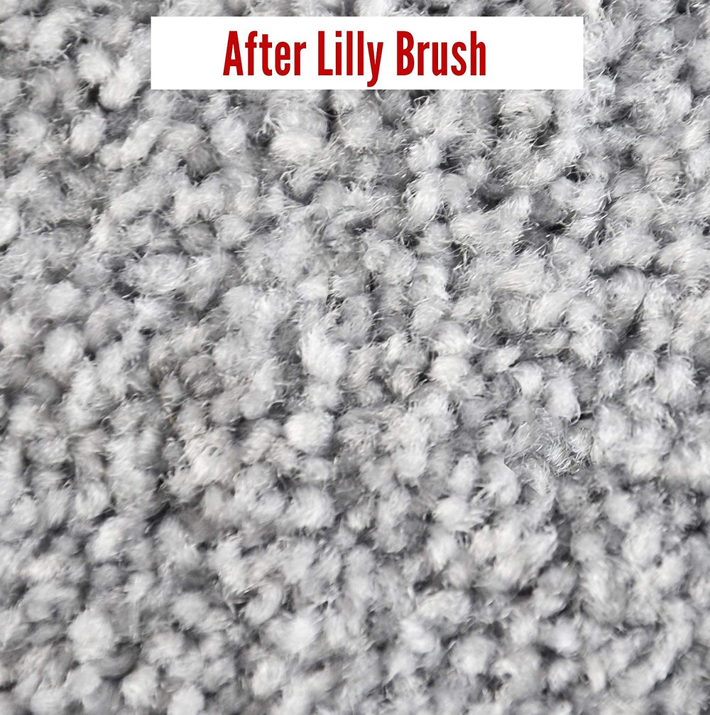 Se adapta a varillas de escoba con Lilly Brush.