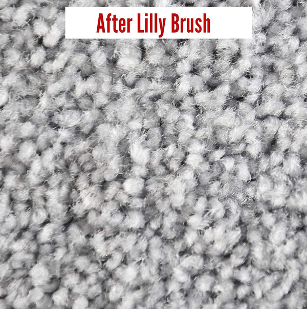 Se adapta a varillas de escoba con Lilly Brush.