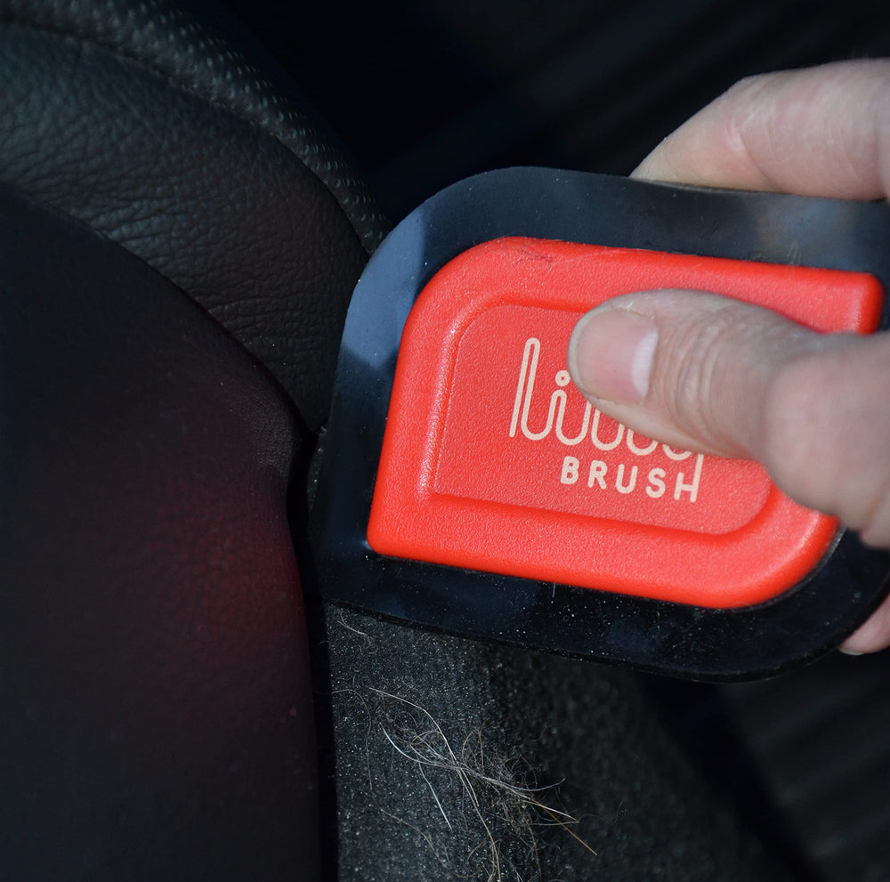 Lilly Brush Mini compacto para uso en coche y tapicería.