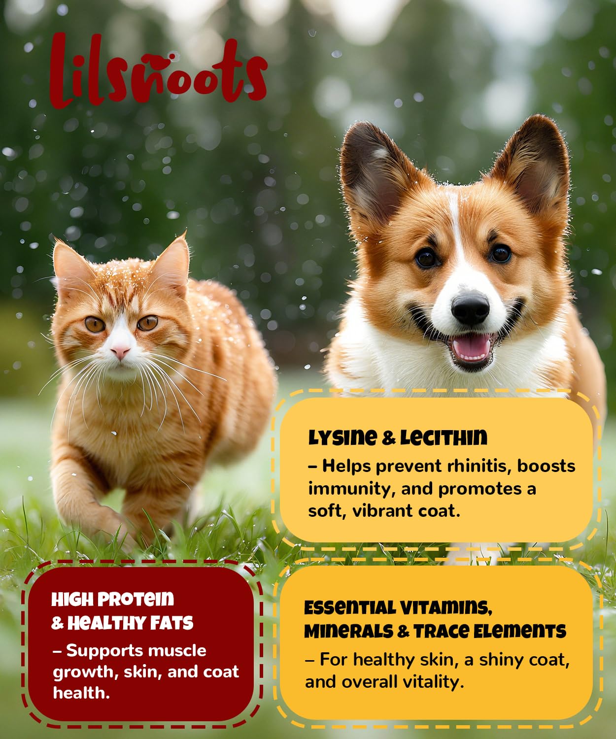 LILSNOOTS proteína y lecitina natural en cada yema deshidratada