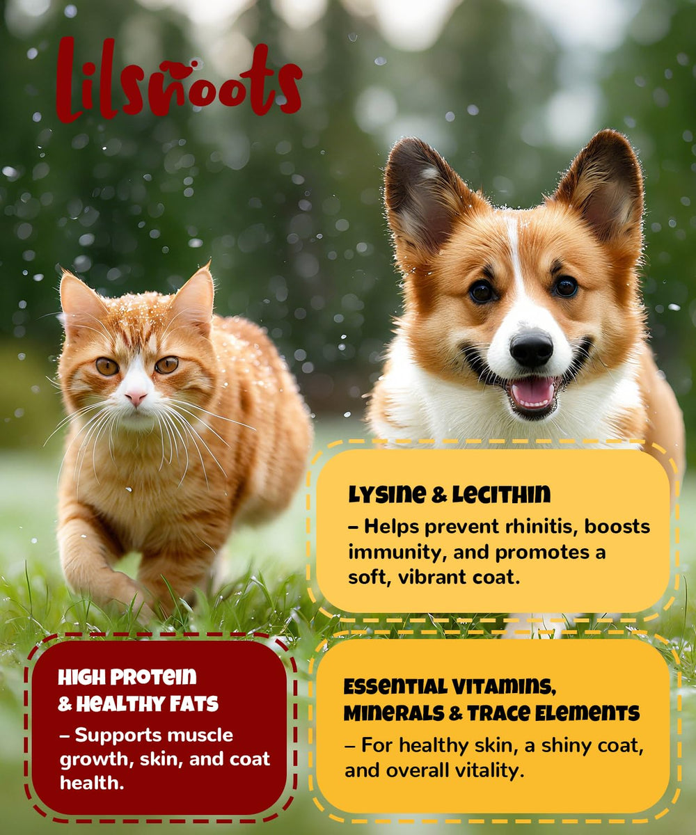 LILSNOOTS proteína y lecitina natural en cada yema deshidratada