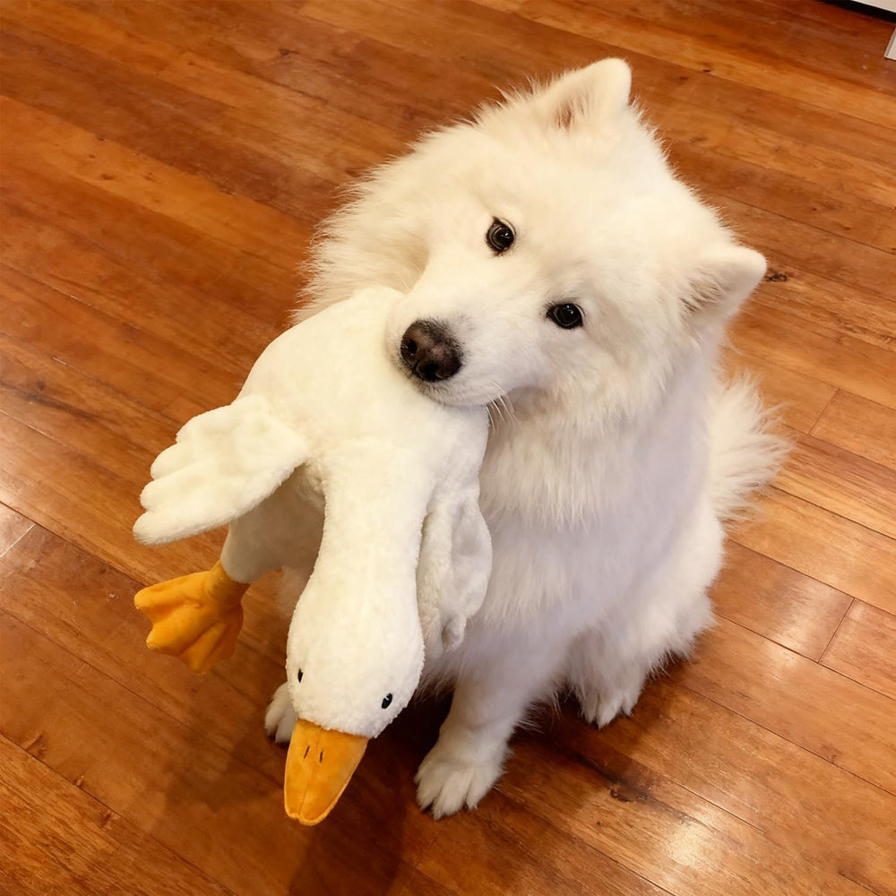 Peluche de Pato para Perro, limpieza rápida y sencilla.