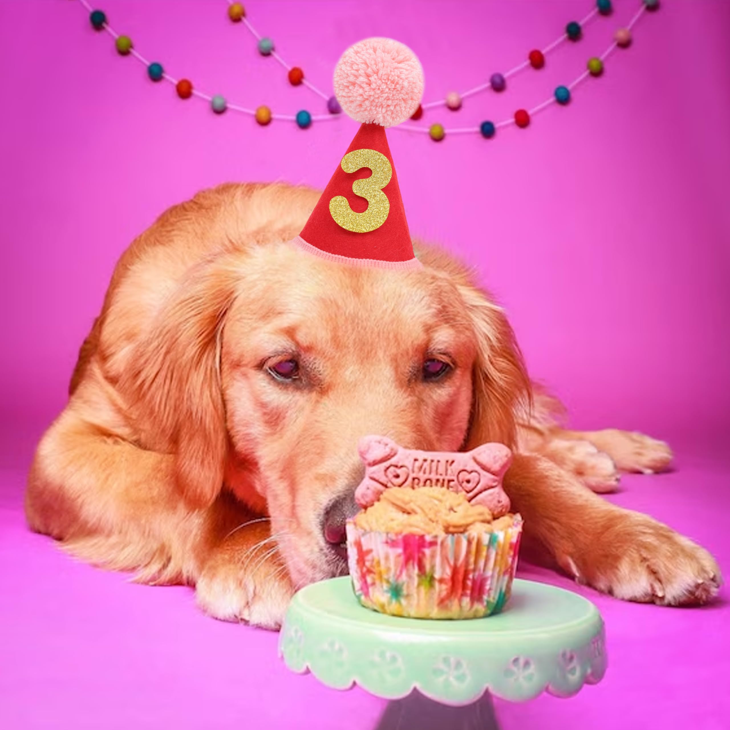 LINGANA Gorro de cumpleaños para mascota con borde suave y ajuste seguro.