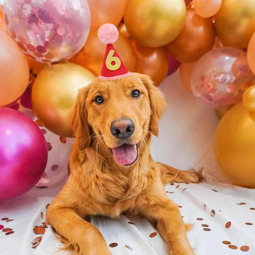 LINGANA Gorro de cumpleaños para mascota, perfecto para fotos divertidas en la fiesta.
