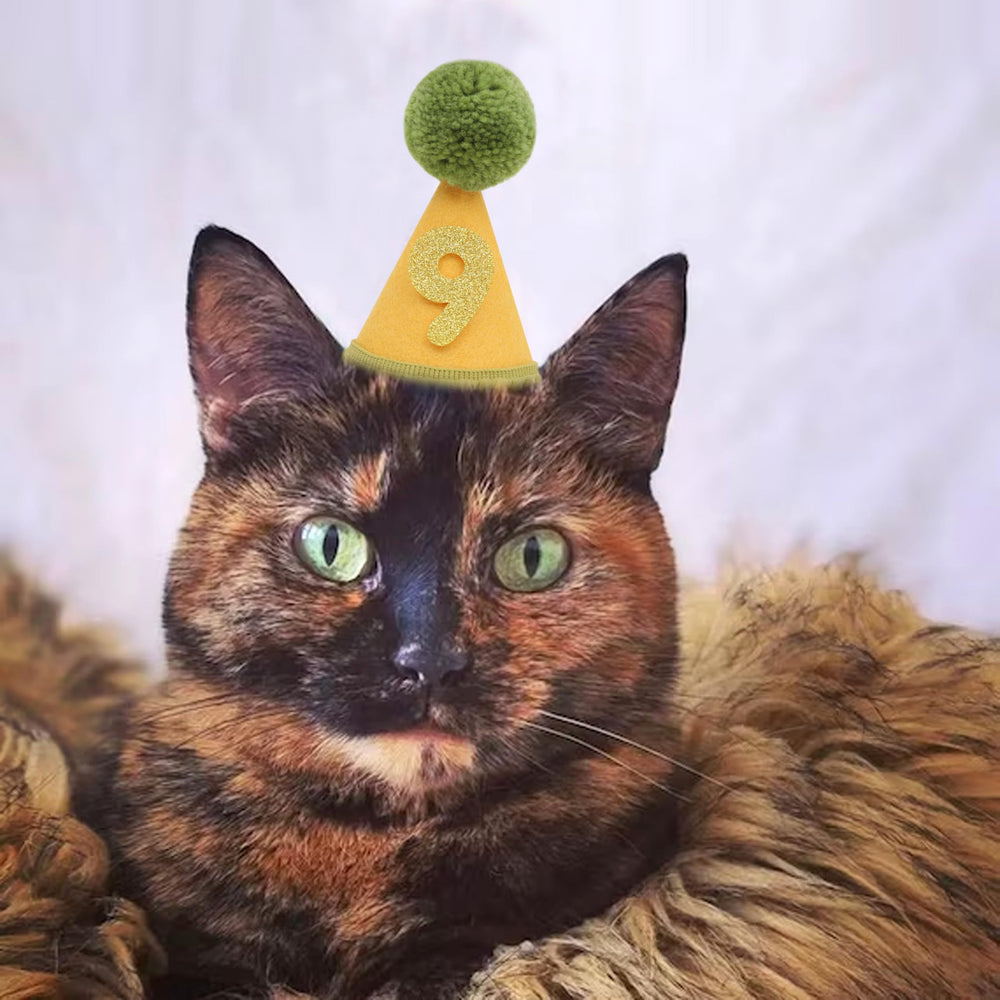 Gorro Lingana con inserción rápida de números para fiestas y recuerdos.