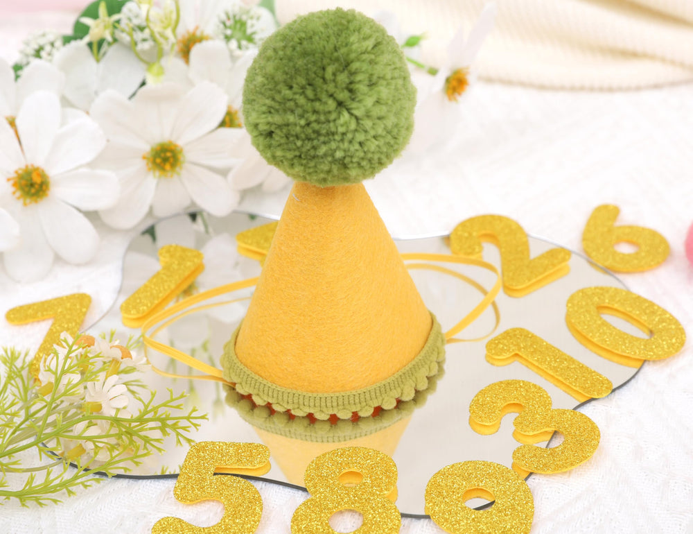 Gorro Lingana como props de foto para cumpleaños de mascota.