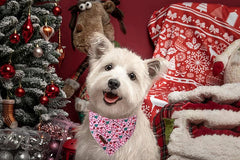 Bandana Lionet Paws con ajuste para perros medianos a grandes.