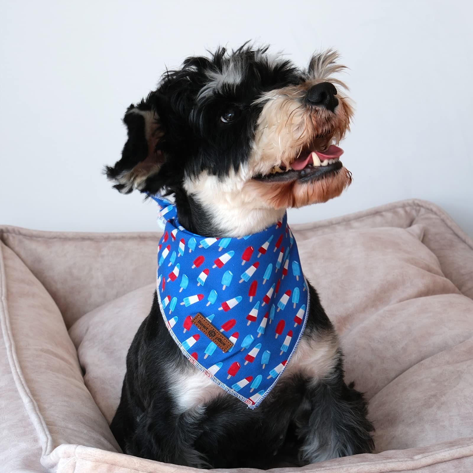 Bandana de algodón en Lionet Paws, colores blanco, azul y rojo para mascota.