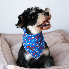 Bandana de algodón en Lionet Paws, colores blanco, azul y rojo para mascota.