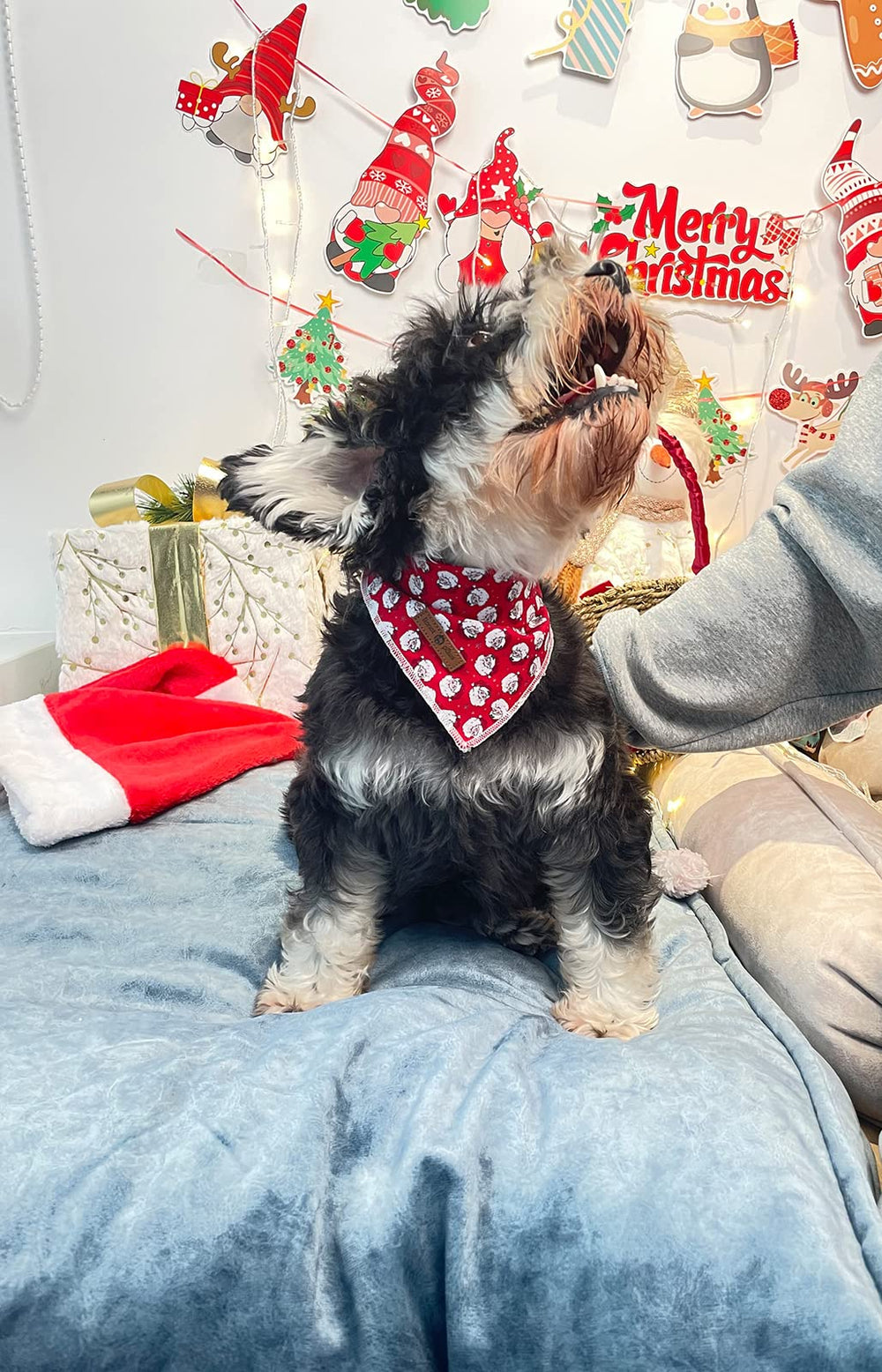Bandana con diseño único Lionet Paws, color y estilo para perro