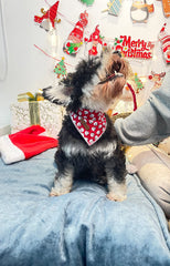 Bandana con diseño único Lionet Paws, color y estilo para perro