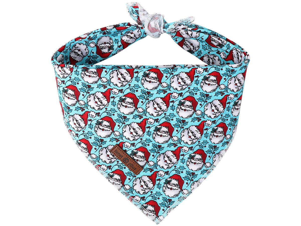 Bandana navideña Lionet Paws para perro, suave y lavable para fiestas