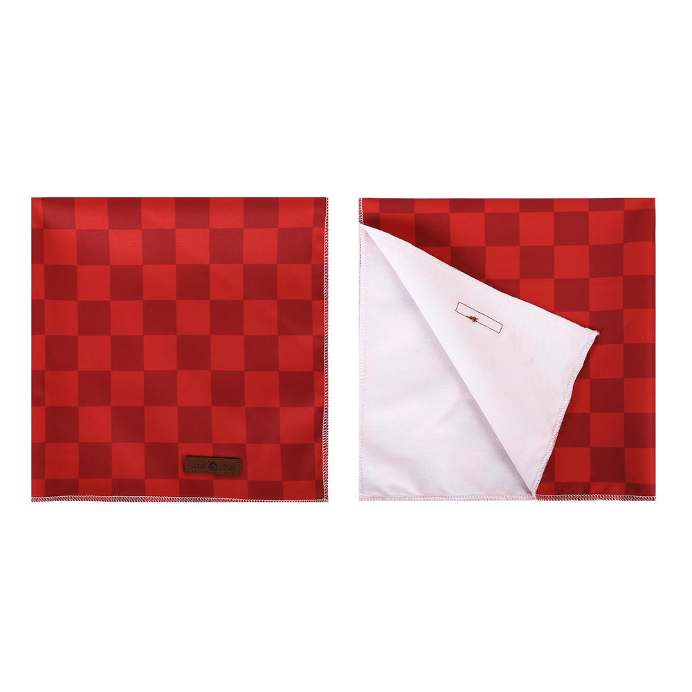 Bandana Lionet Paws para uso diario, combina con collar y correa a juego.