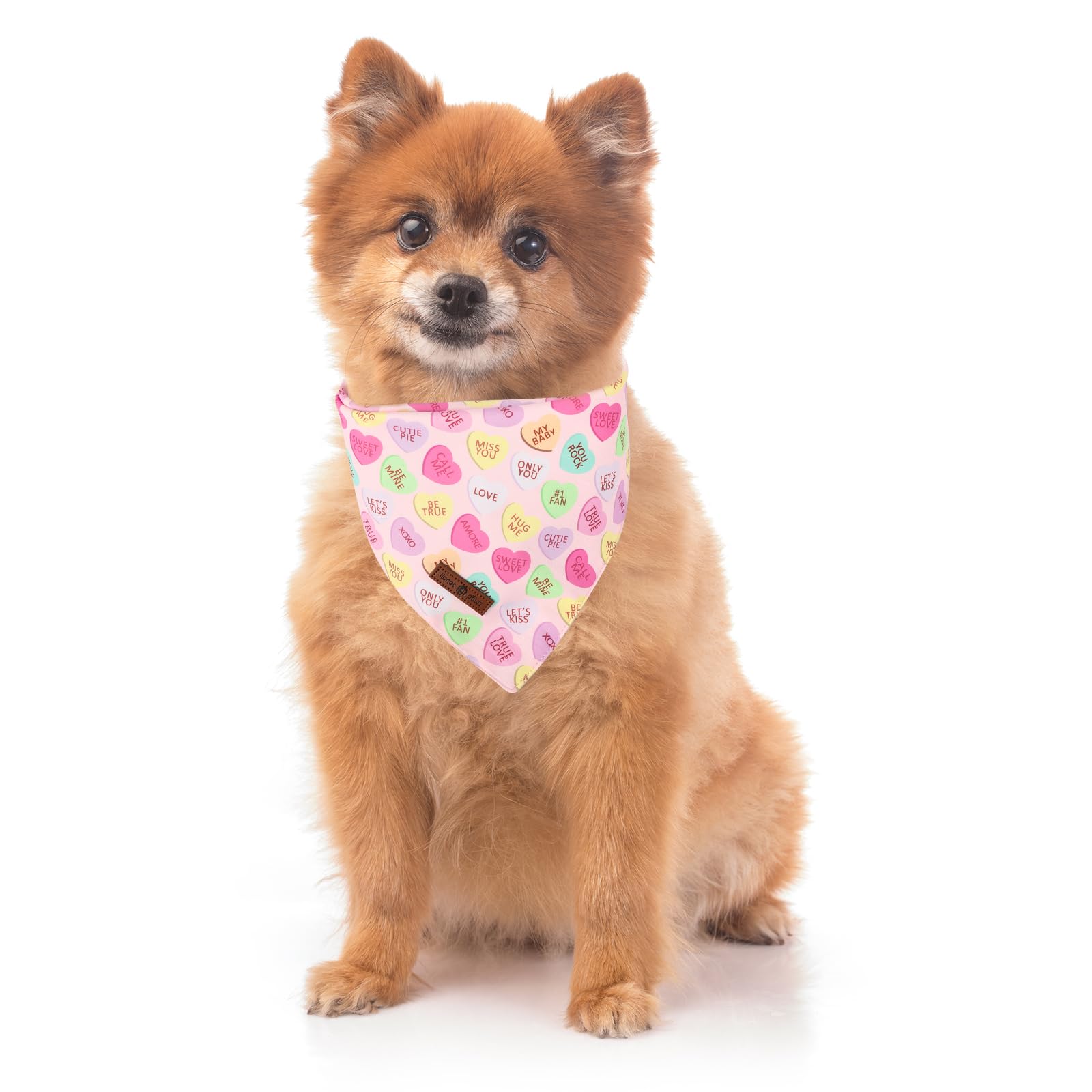 Bandana Lionet Paws de algodón suave, cómodo uso diario para perros medianos y grandes.