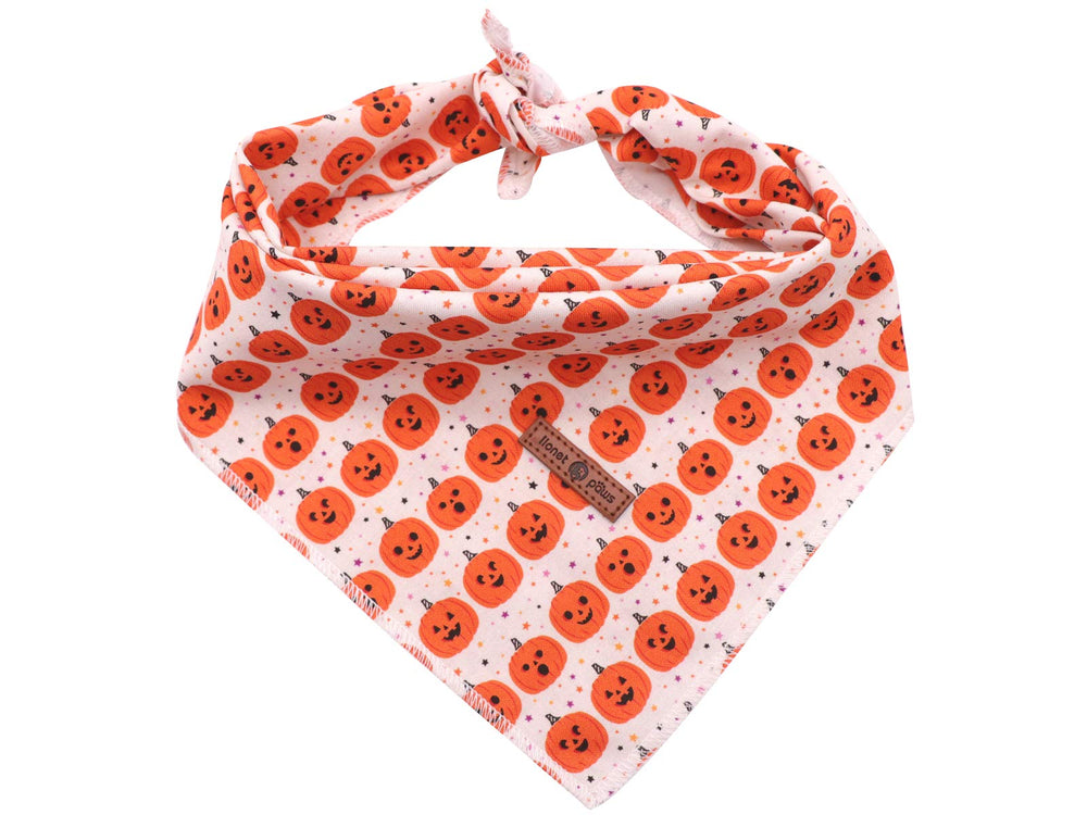 Bandana Lionet Paws para perros, naranja calabaza, ideal para fotos.