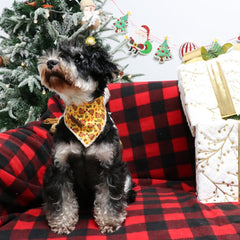 Bandana Lionet Paws para ocasiones: ideal para fiestas y sesiones de fotos.