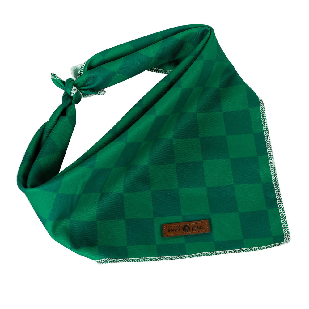 Bandana Lionet Paws regalo ideal para perros, perfecto para ocasiones.