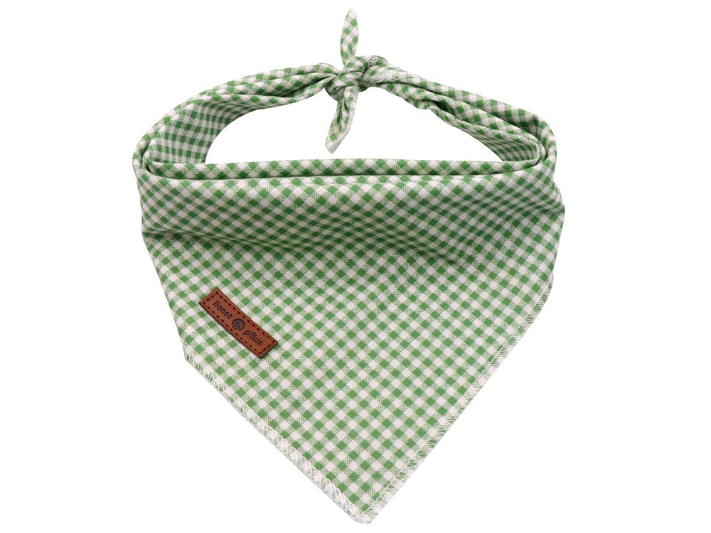 Bandana Lionet Paws para perro con diseño triángulo, ideal para paseos diarios.