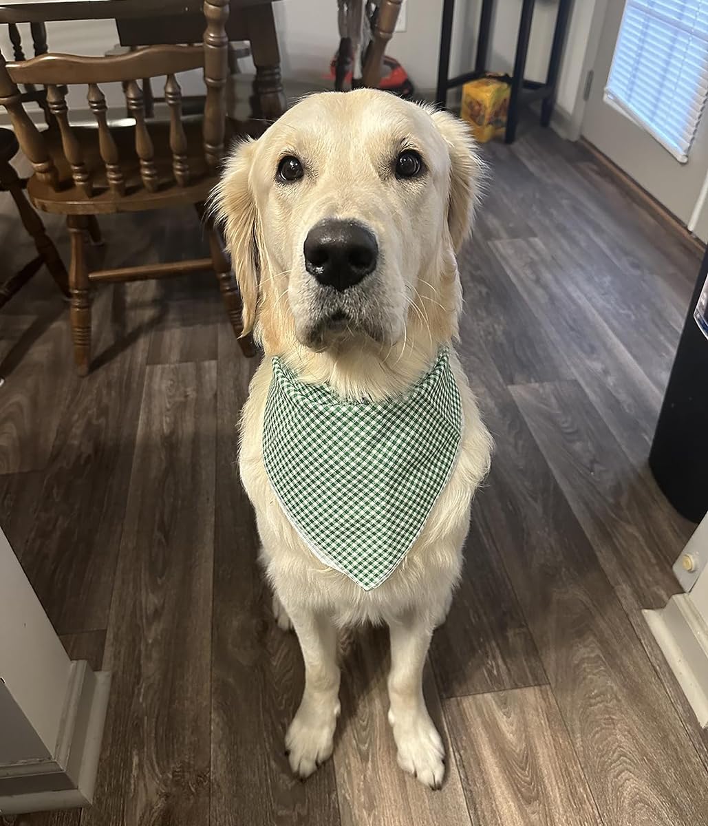 Bandana Lionet Paws, diseño triángulo, perfecta para sesiones de fotos de tu mascota.