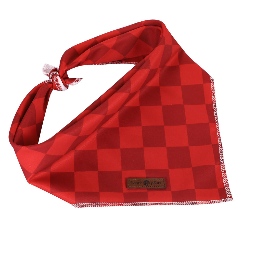 Regalo ideal para perro, bandana Lionet Paws con diseño festivo.
