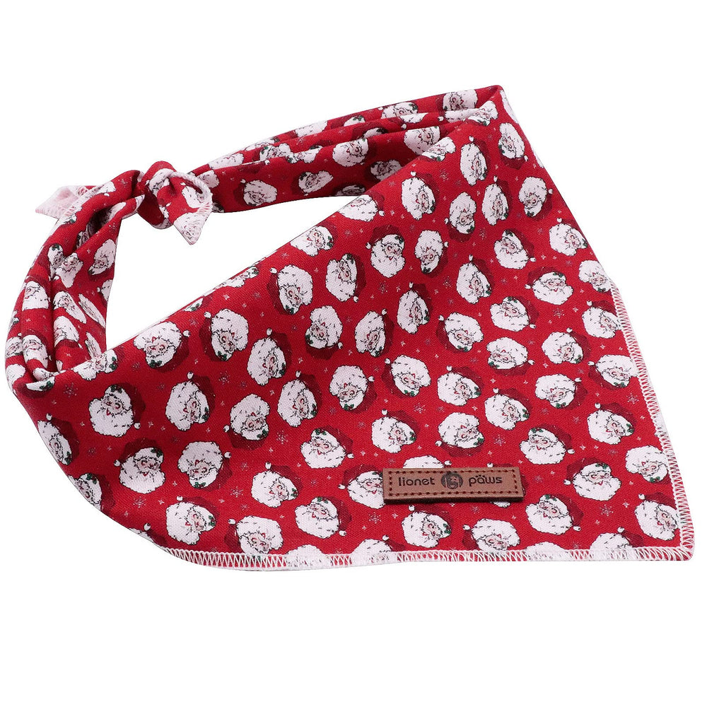 Bandana con tallas ajustables Lionet Paws para perros