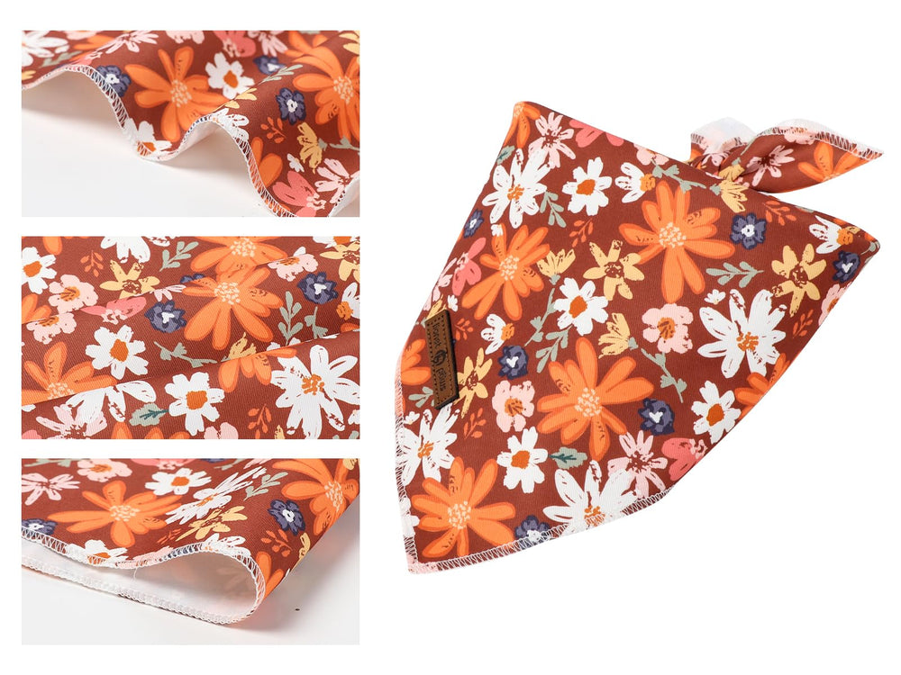 Bandana triangular tamaño S de Lionet Paws para cuellos pequeños.