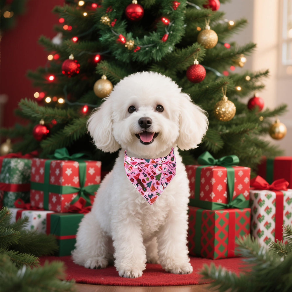 Uso diario para tu perro, Bandana Lionet Paws colorida y cómoda.