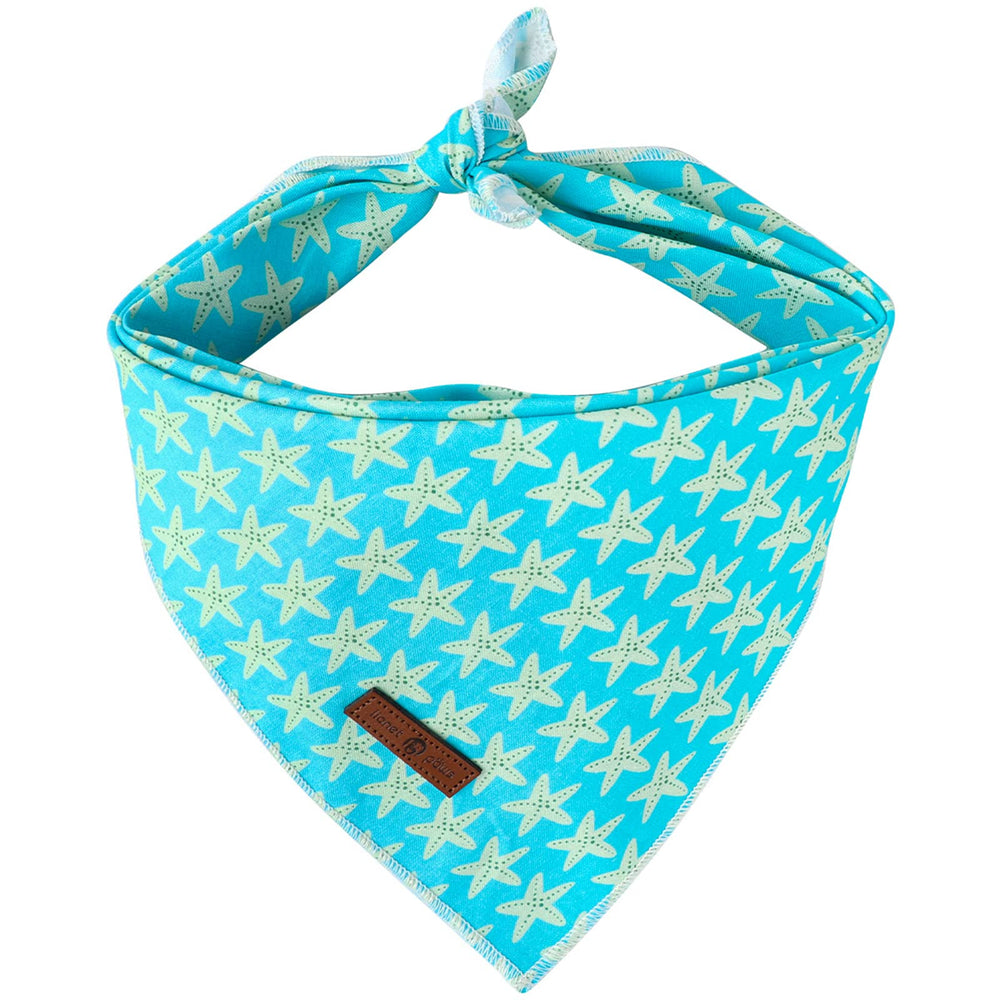 Lionet Paws banda na con estrella de mar, ideal para veranos y paseos