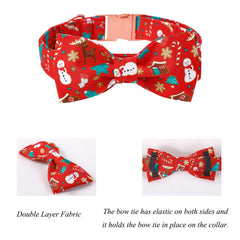 Lionet Paws lazo desmontable en collar, fácil de usar.