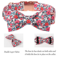Collar Lionet Paws ajustable para cuello de tamaño medio