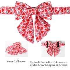 Collar ajustable Lionet Paws para perros pequeños, cómodo y flexible.