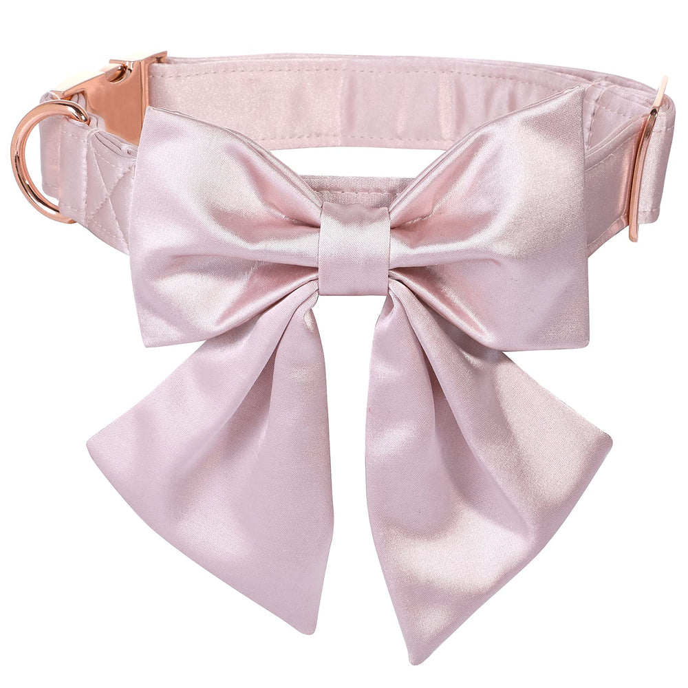 lionet paws collar con lazo desmontable añade estilo sin esfuerzo para ocasiones especiales.