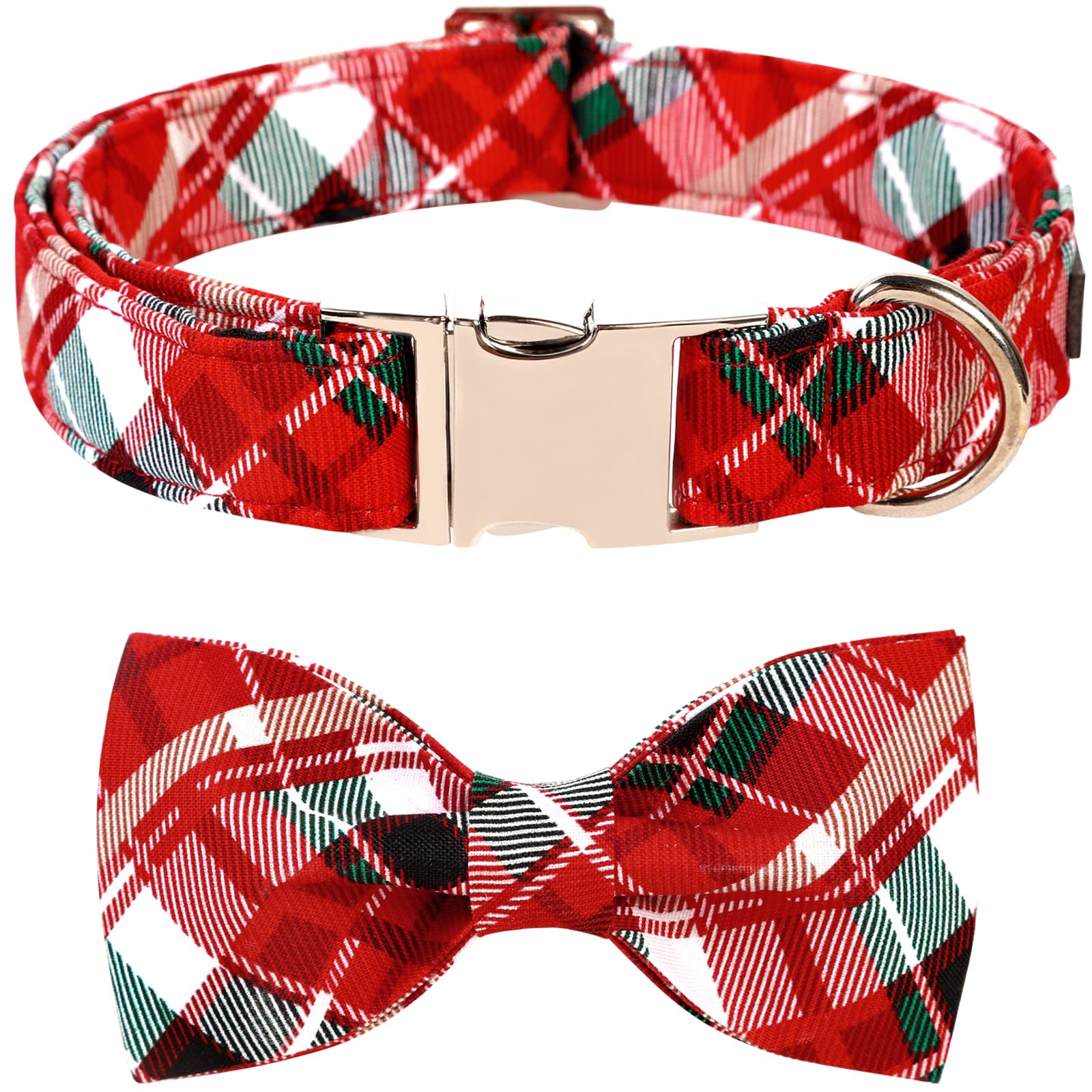 Lionet Paws collar con lazo detalle: estilo elegante para sesiones de fotos.