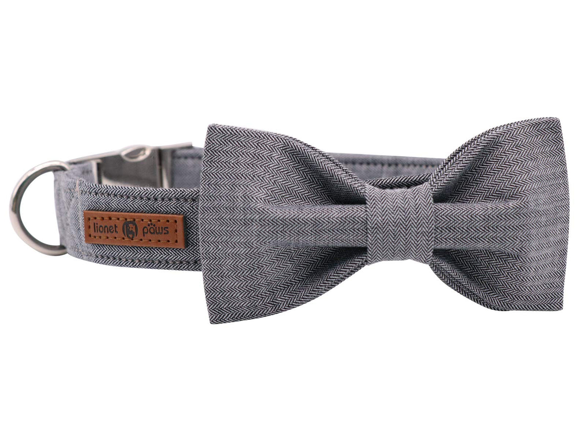Lionet Paws collar con lazo XS visto de frente, cómodo para mascotas pequeñas