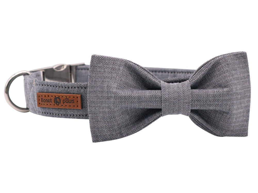 Lionet Paws collar con pajarita, diseño llamativo y cómodo para paseos diarios.