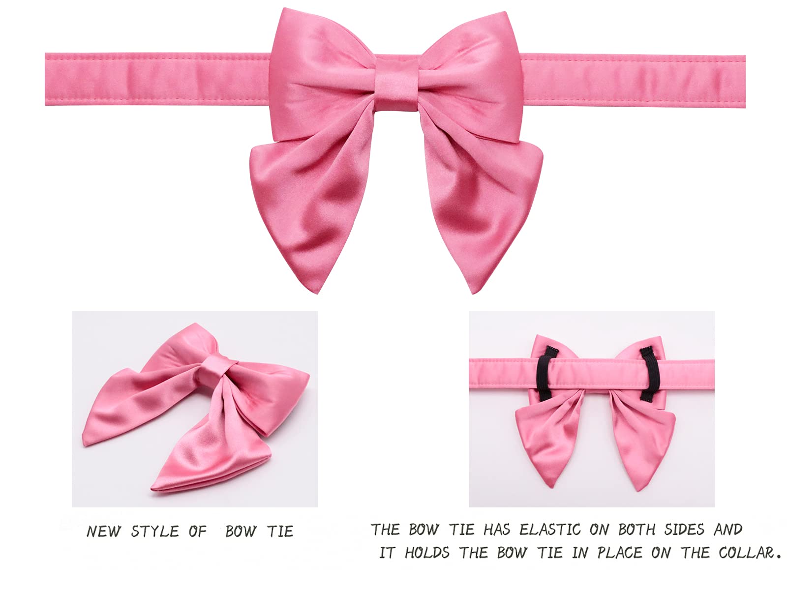 Lionet Paws diseño elegante en colores brillantes para ocasiones especiales.