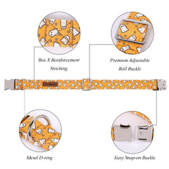 Pajarita desmontable en collar Lionet Paws para cambios de apariencia