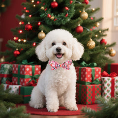 Perro luciendo el collar Lionet Paws en exterior con estilo.